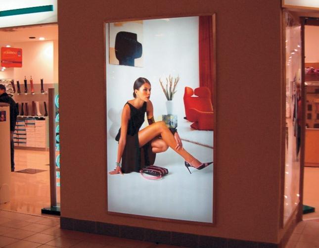 Mẫu in backlit Mẫu in backlit